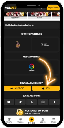 Access the download page