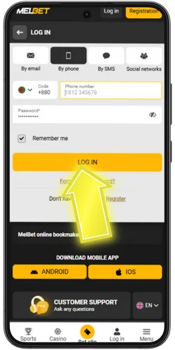 Launch and log in